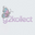 y2kollect.com favicon